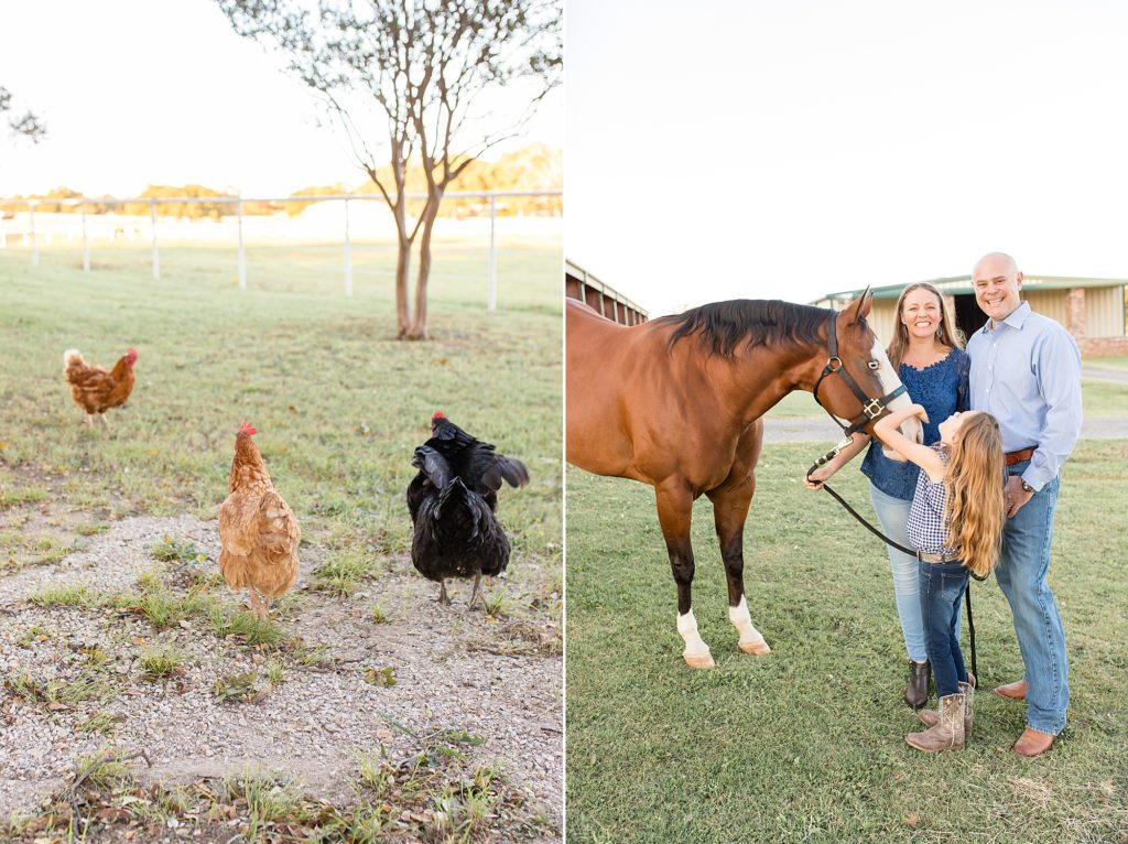Girl plays with horses and chickens on family farm for family photos in McKinney TX with McKinney portrait photographer 