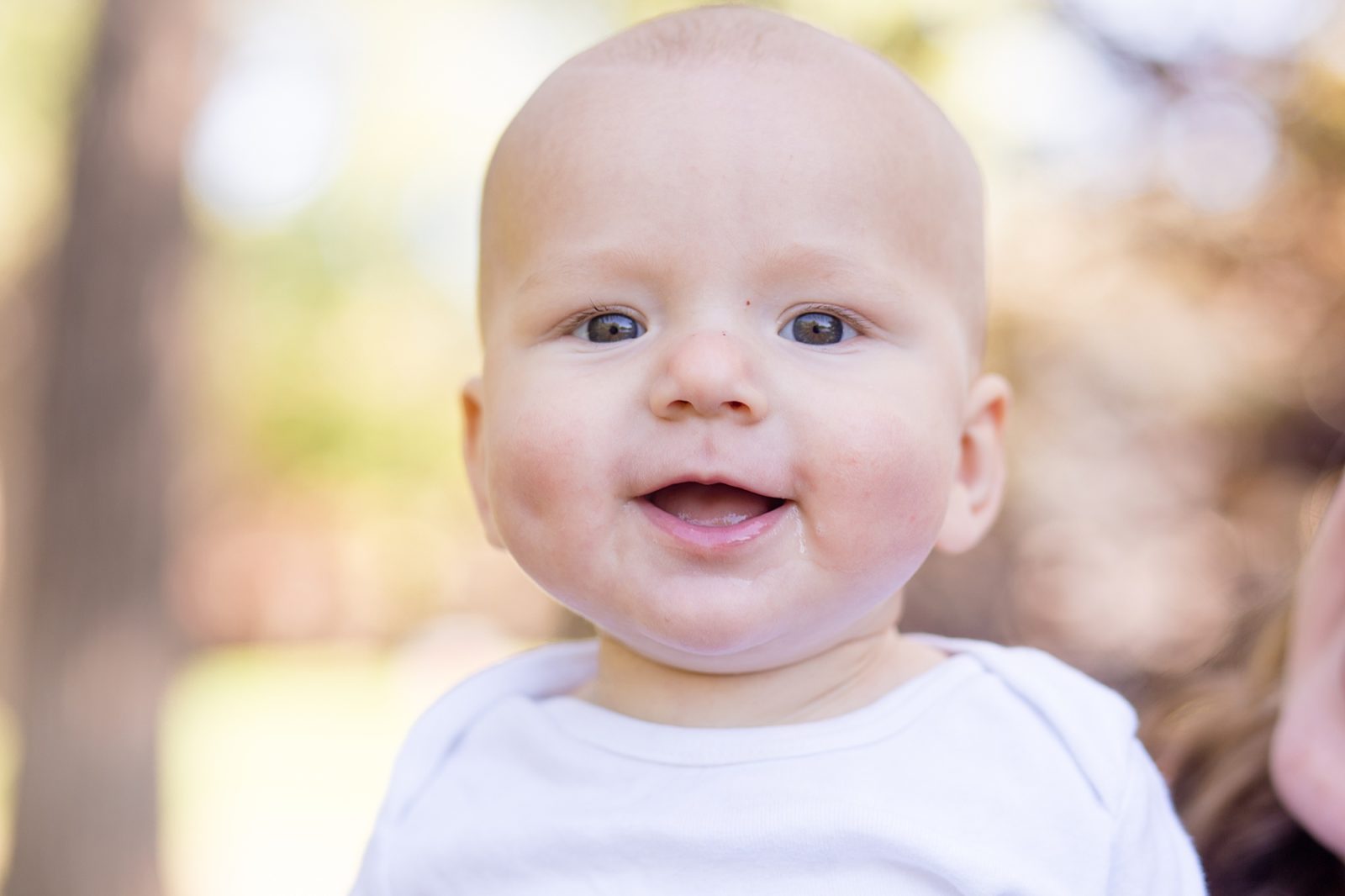 Baby boy smiles during family portraits with wisp + willow photography co. 