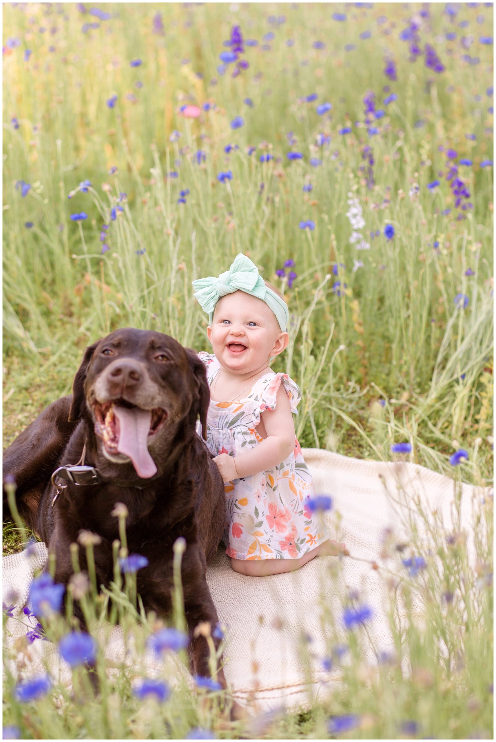 An adorable baby is kneeling on a white blanket in a field of wildflowers hugging her dog. She is wearing a white flutter sleeve dress with a floral print and a mint green headband.
