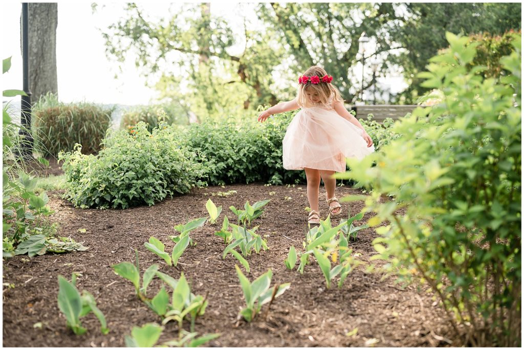 Little girl in light pin dress and pink flower crown dances outside through the bushes during family photo session. 