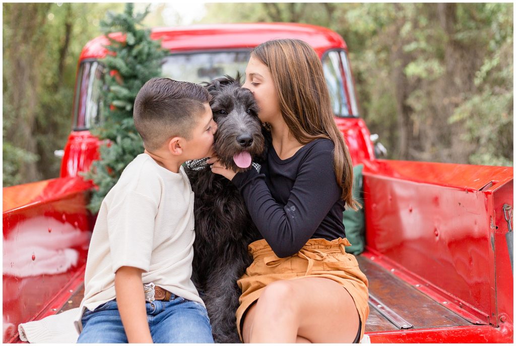 Sister and brother kiss dog in bed of red pickup truck during Christmas photo session. 