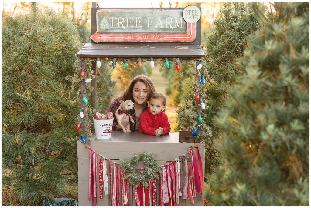 Mom, son, and little dog pose behind Christmas Tree Stand with colorful string of lights and red streamers lined with pine trees. 