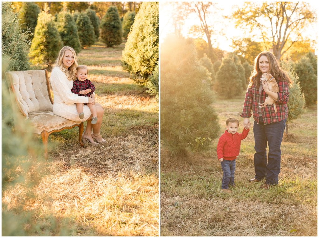 Mom sits on tan velvet couch with daughter on on her lap in Christmas Tree Farm. Mom in red plaid shirt holds little dog while standing with son in red sweater during Christmas photo session.