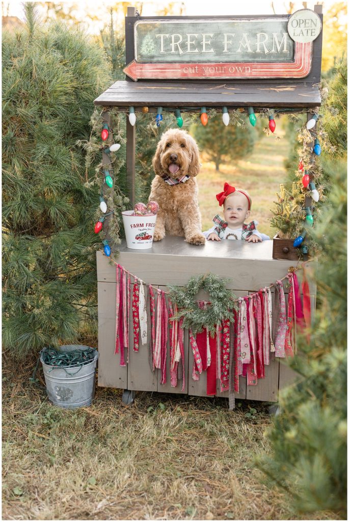 Baby girl with red bow and dog with plaid bandana pose behind Tree Farm stand with colorful Christmas lights, red streamers, and wreath during photo session with Wisp + Willow Photography Co.