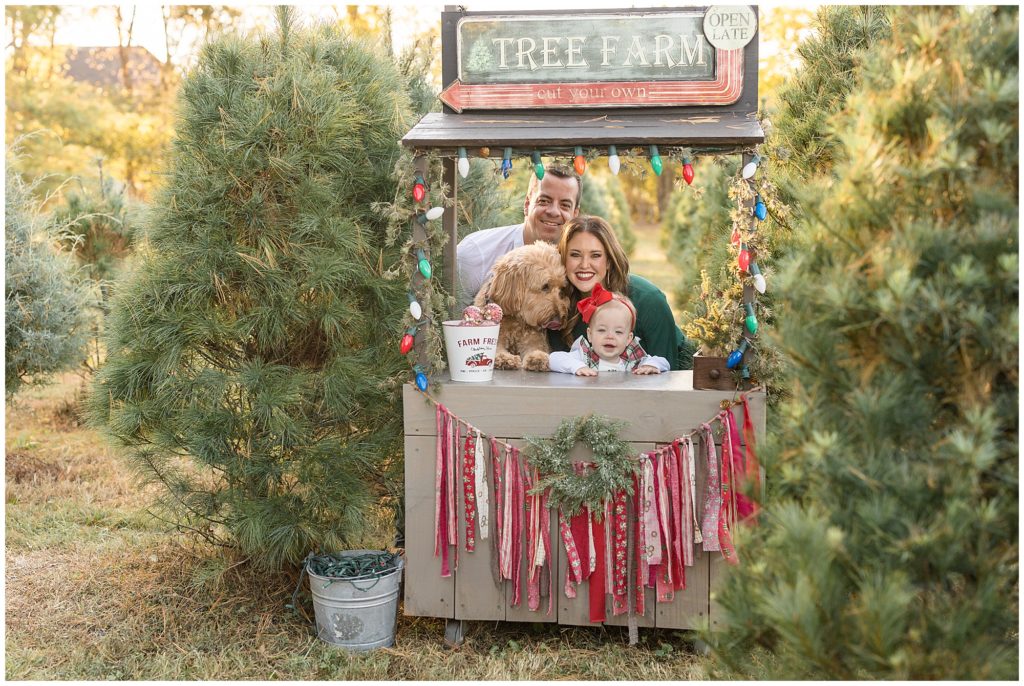 Family of 3 plus dog pose behind Tree Farm stand lined with colorful Christmas lights and red tassels surrounded by pine trees during family session with Wisp + Willow Photography Co. 