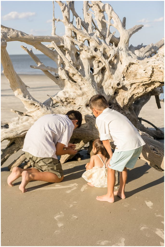 Two brothers in white shirts and green shorts play with little sister in white lacey dress in driftwood on beach in Jekyll Island, GA. 