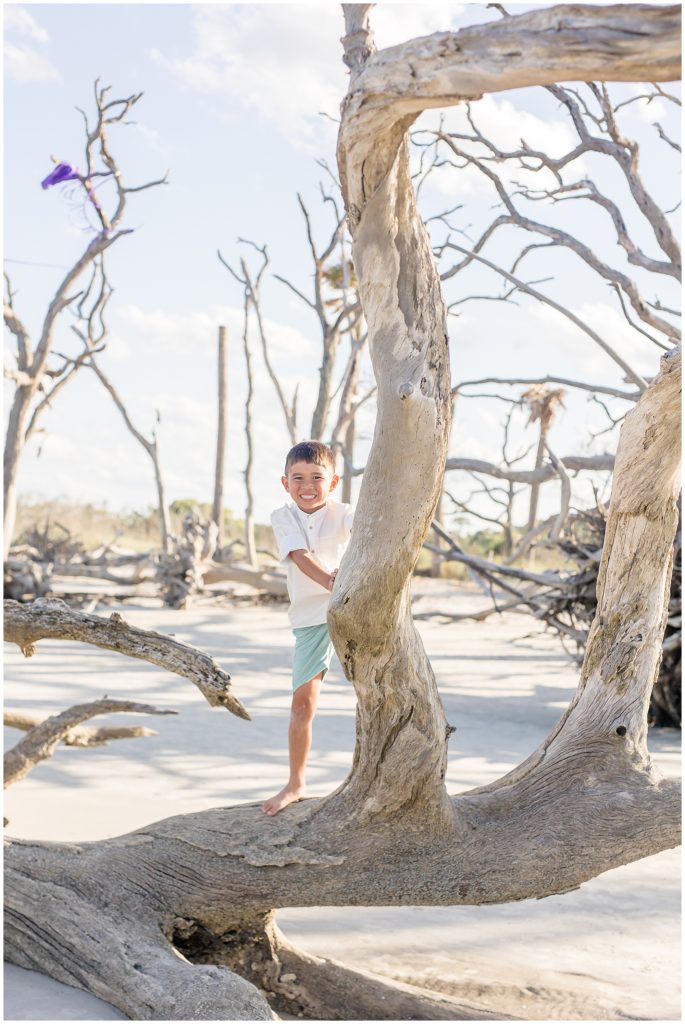 Boy in white button down and blue shorts plays on driftwood in Jekyll Island, GA during photo session with Wisp + Willow Family Photography Team. 