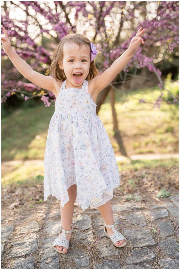 Little girl sticks tongue out and holds arms up in the air as she stands in front of red bud tree in the park at Libby Hill in Richmond, VA during her family portrait session.