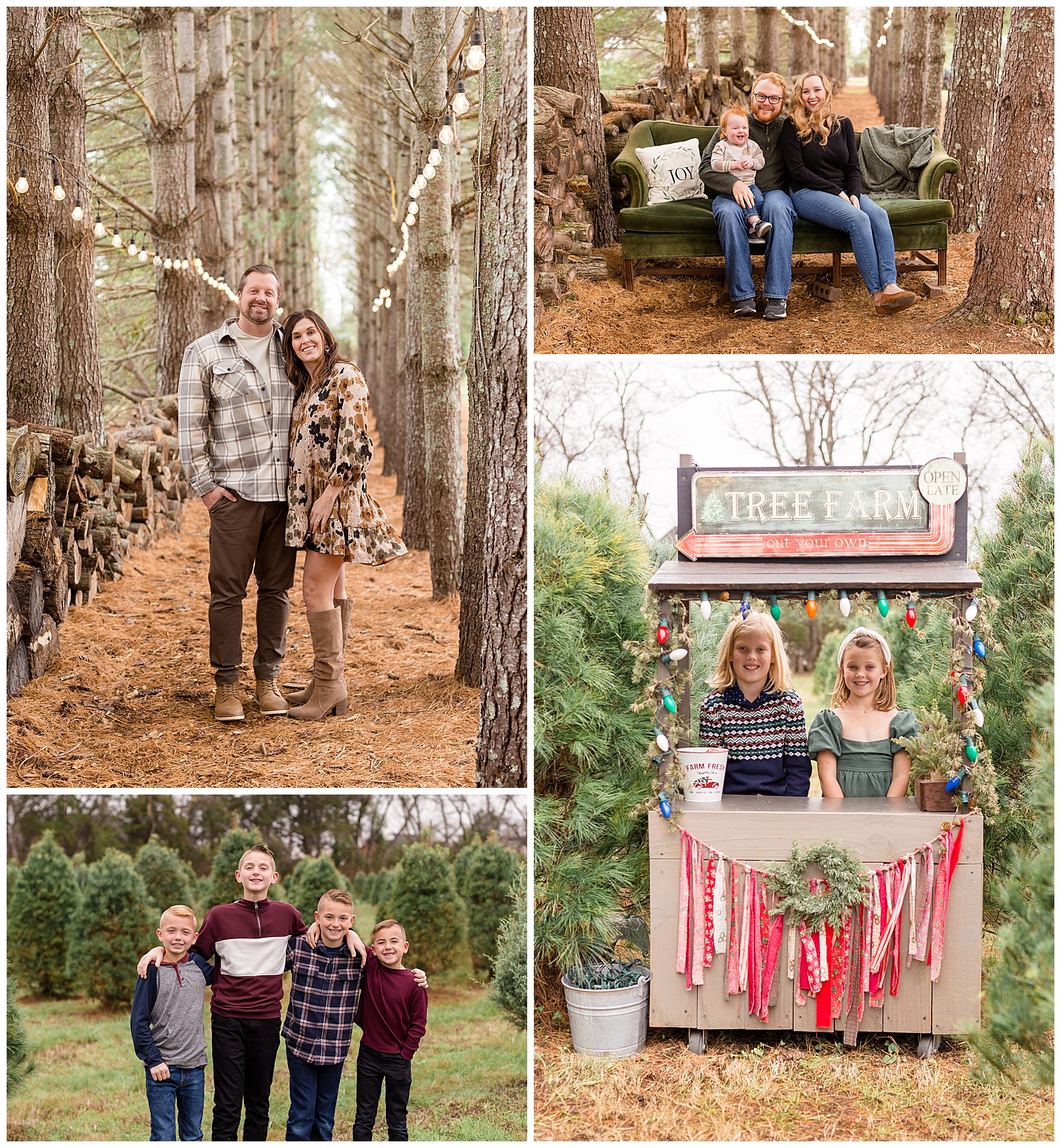 Christmas Mini Session Photographer Wisp + Willow Photography